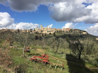 Tour del vino azafrán y Vernaccia en San Gimignano
